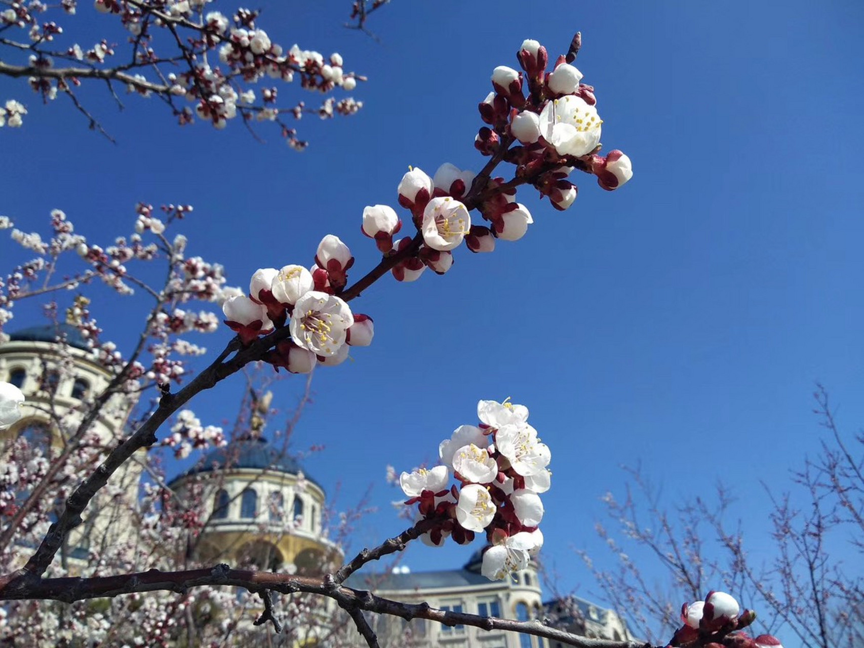 爱游戏登录入口 -今晚法甲传出新动向；波士顿凯尔特人绝杀压哨；管理层表态——管理层满意；身体对抗强度拉满(凯尔特人波神什么时候伤愈)